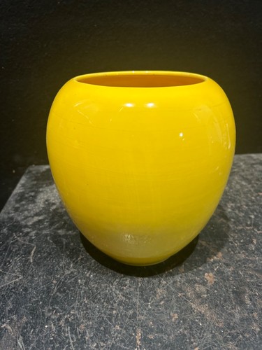 Yellow vase plant - vase/plant, holder