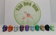 Mini skull. Jumping spider, mantis or isopod, invert accessory. 3D printed decor