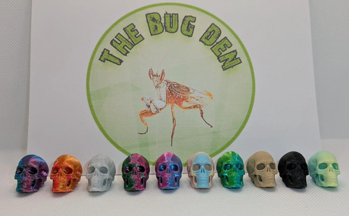 Mini skull jumping - jumping, spider