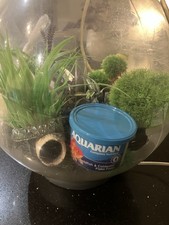 Biorb Tank with Lots of Accessories Included