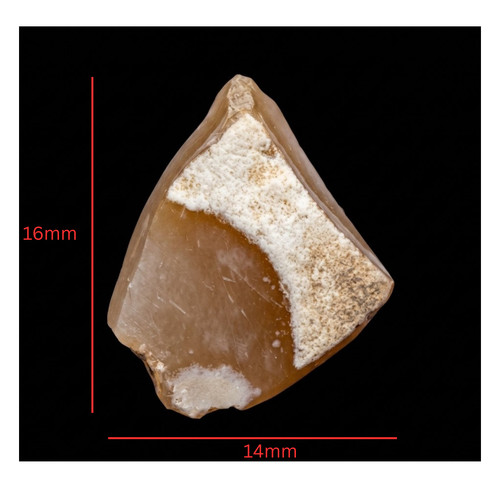 Authentic mesolithic irish - authentic, l.mesolithic