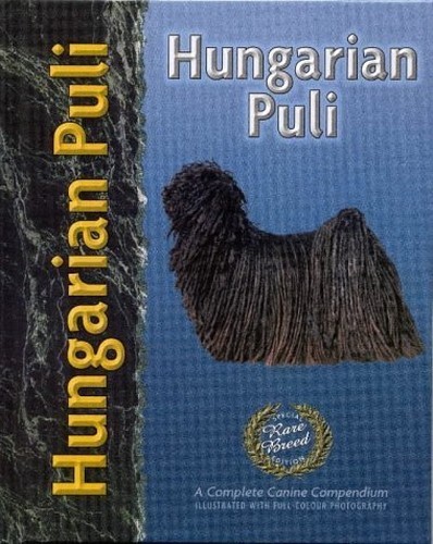 Hungarian puli pet - hungarian, love