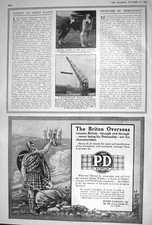 Old Print 1920 Buller Navy Dog Bero Dawson Scotch Whisky Tootal Broadhur 20th