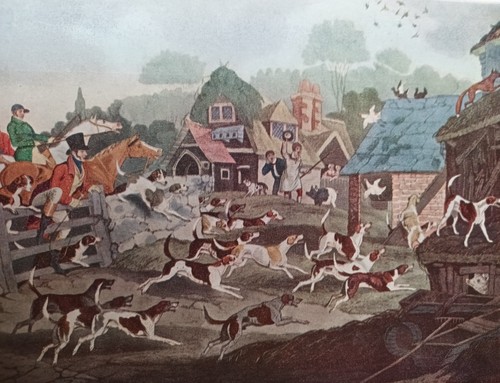 Vintage fox hunting - fox, the