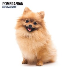 Pomeranian 2026 Modern Calendar