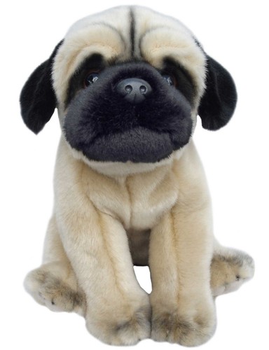 Sitting pug puppy plush - puppy,