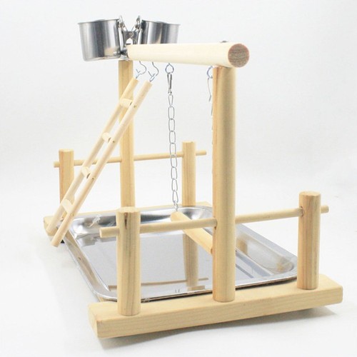 Parrot playstand bird - parrot,