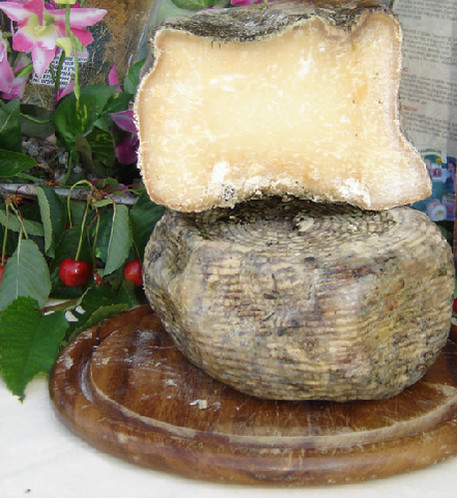 Pecorino etrusco aged - etrusco, pit