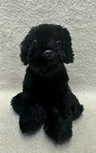 Guide dogs for the blind - , black