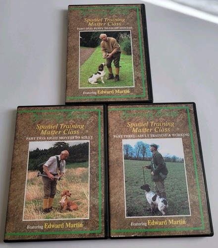 Spaniel training masterclass - training,