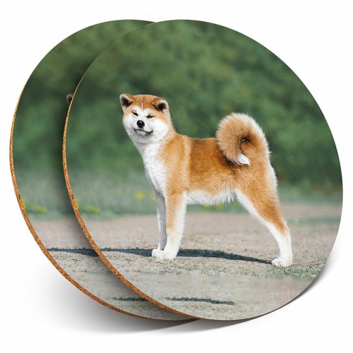 Coasters akita inu puppy - coasters,