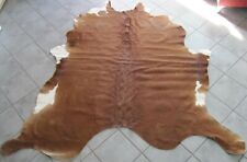 Top Condition: Beautiful