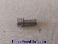 Fork bottom screw for Suzuki
