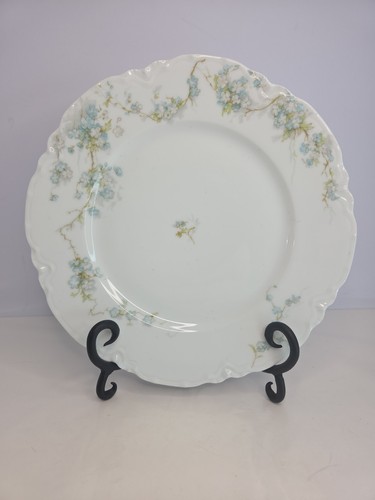 Antique blue haviland co - haviland, &