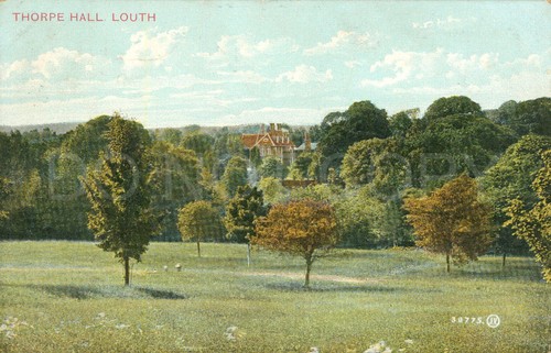 Louth vintage postcard thorpe - vintage,