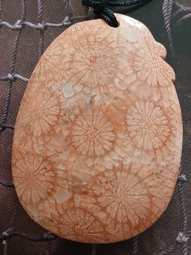 Coral fossil animal carving - fossil,