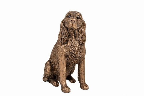 Cinnamon spaniel dog - spaniel, cast