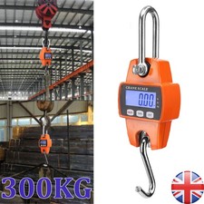 Mini Crane Scale Portable LCD