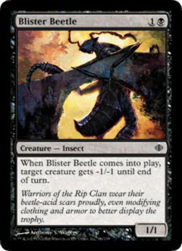Blister beetle shards - of, alara