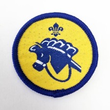UK Beaver Scout Hobbies