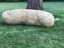 4.8kg net of barley straw for