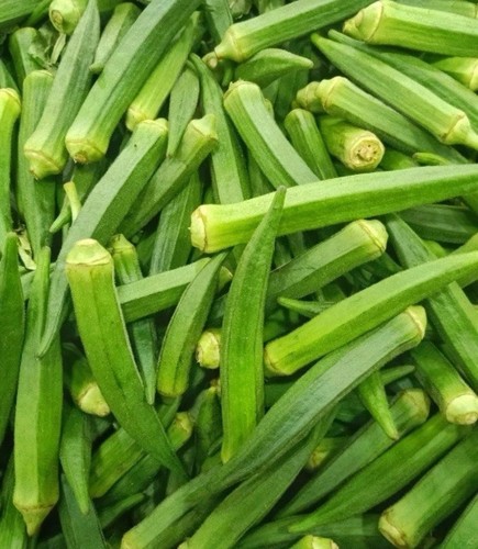 Fresh lady finger - fresh,