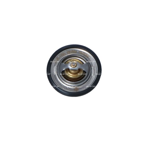 Coolant thermostat for ford - for,