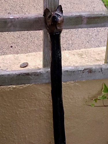 Black wood walking stick cane - black,