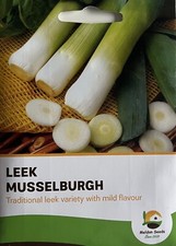 Musselburgh Leek Seeds 300 Fresh Vegetable Seeds for Planting UK Winter Hardy