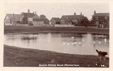 NUN MONKTON NEAR YORK. DUCK
