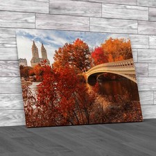Bow Bridge In Autumn Central