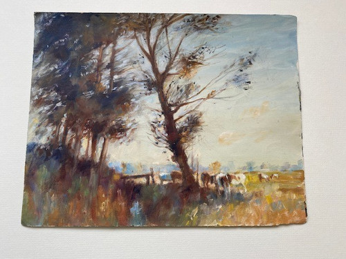 Cattle sheltering under autumn - sheltering,