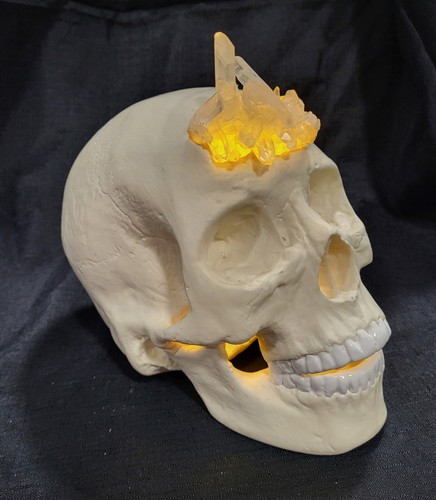 Human skull crystal skulls - human,