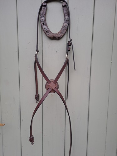 Grackle noseband - grackle,