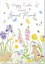 Doodlecards special friends - doodlecards,
