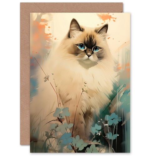 Fluffy ragdoll cat elegant - fluffy,