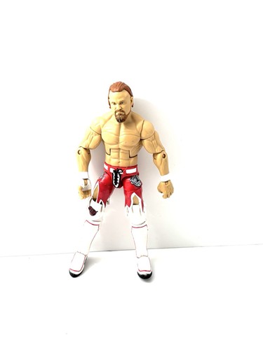 Wwe mattel buddy - mattel,
