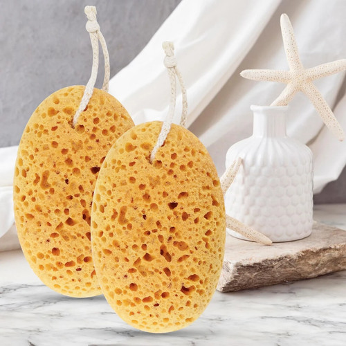 New 2pcs natural honeycomb sea - new,