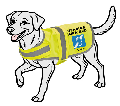 Hearing impaired dog vis - dog,