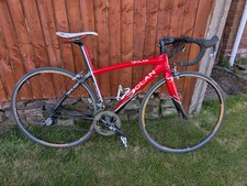 Dolan aurora carbon road bike - aurora,
