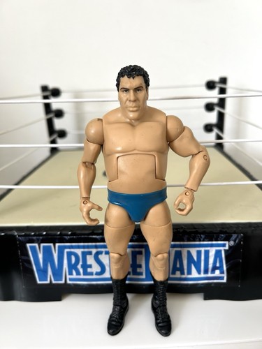 Wwe andre the - the, giant