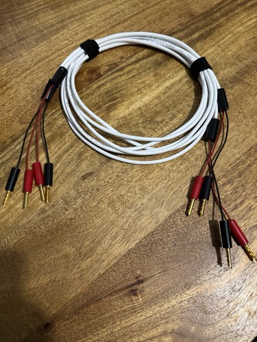 Chord company leyline - company,