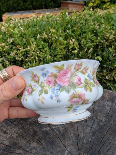 Royal albert moss - albert, rose