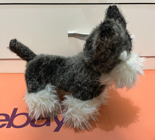 Schnauzer messy woolly puppy - messy,