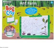 Bug City Ant Farm