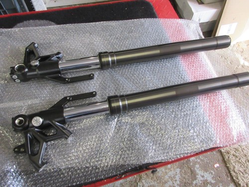 Triumph 765rs 765 street - 765rs,