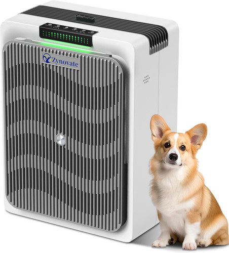 Air purifier for - purifier, home