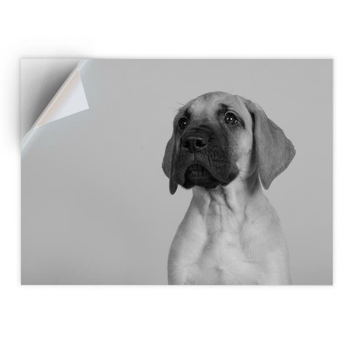 Vinyl sticker bw - 1,