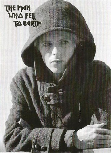 The man who fell earth - to,