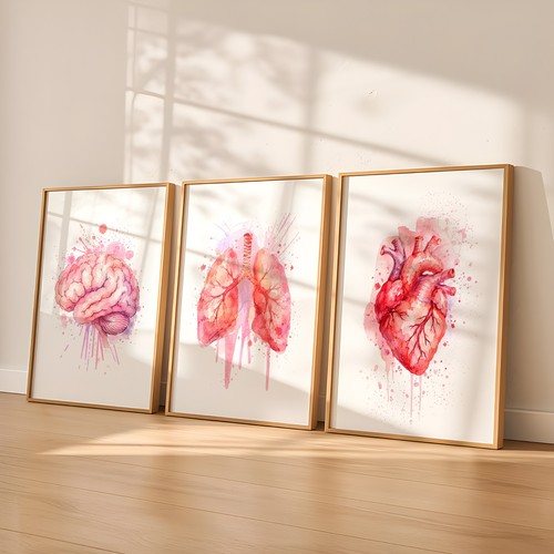 Watercolour anatomy set - set, of